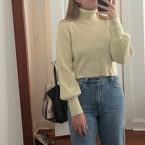 NWOT Wilfred Turtleneck